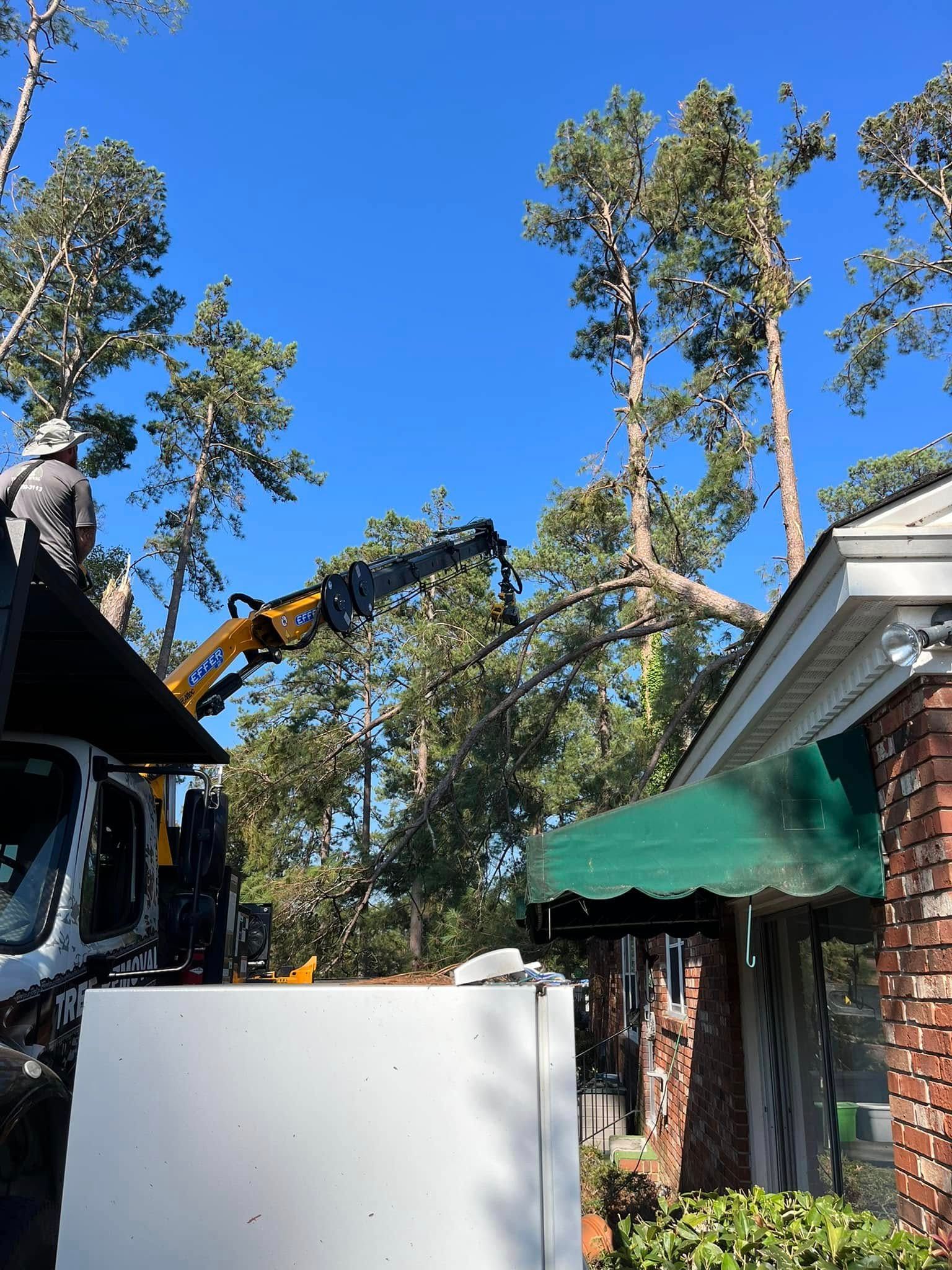 Backyard with tall trees, blue sky, and a brick house with a green awning