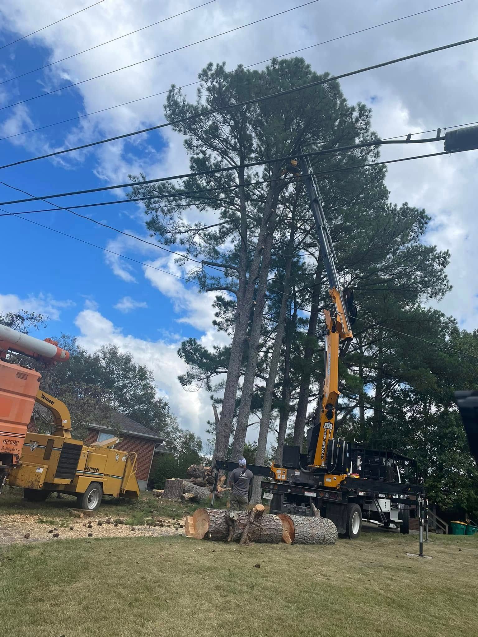 Tree removal work with a crane and trucks beside tall pine trees under a partly cloudy sky