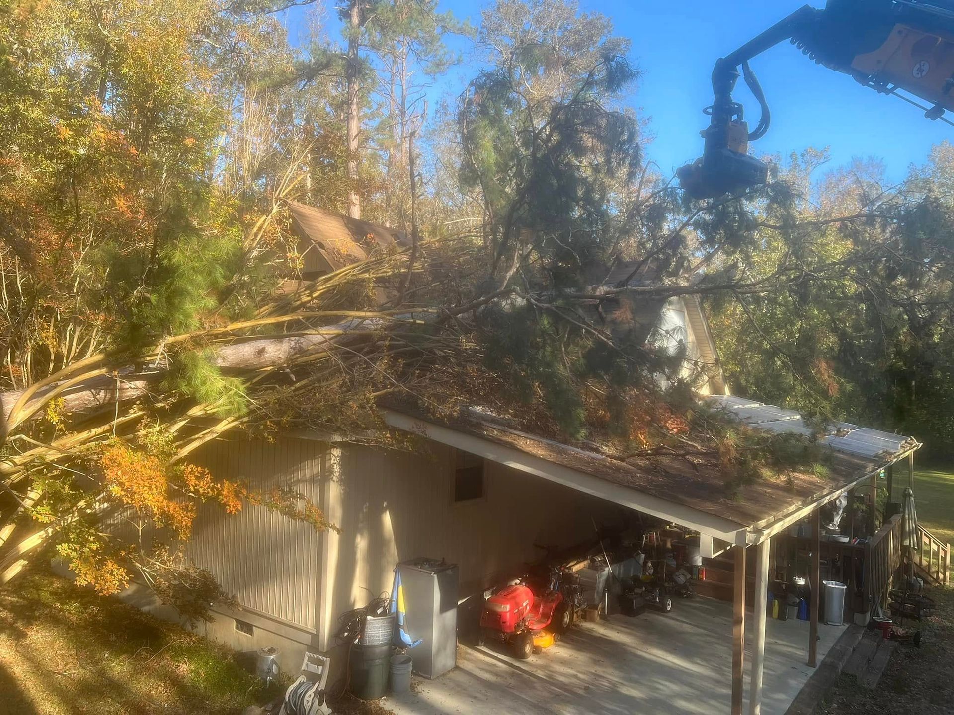 Small house with a damaged roof surrounded by fallen trees and debris after storm damage