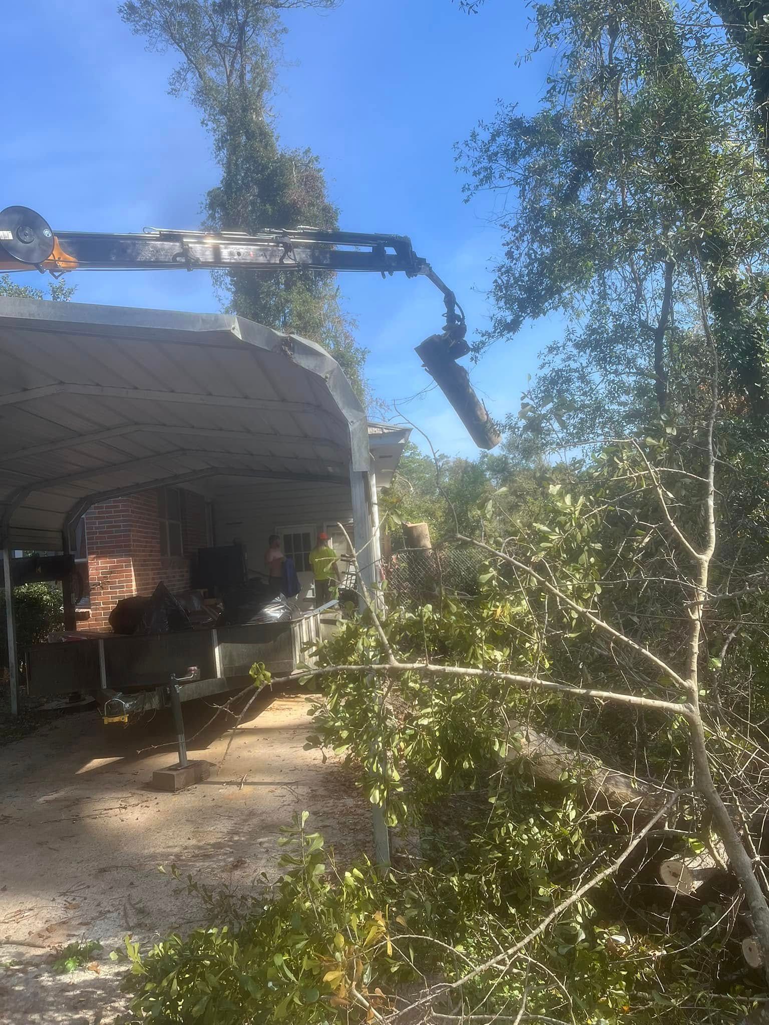 Backyard with a tree and white patio roof, seen from below in bright sunlight