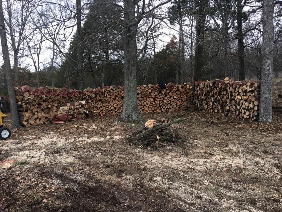 Stacked firewood along a wooded yard with bare trees and a dirt clearing in front