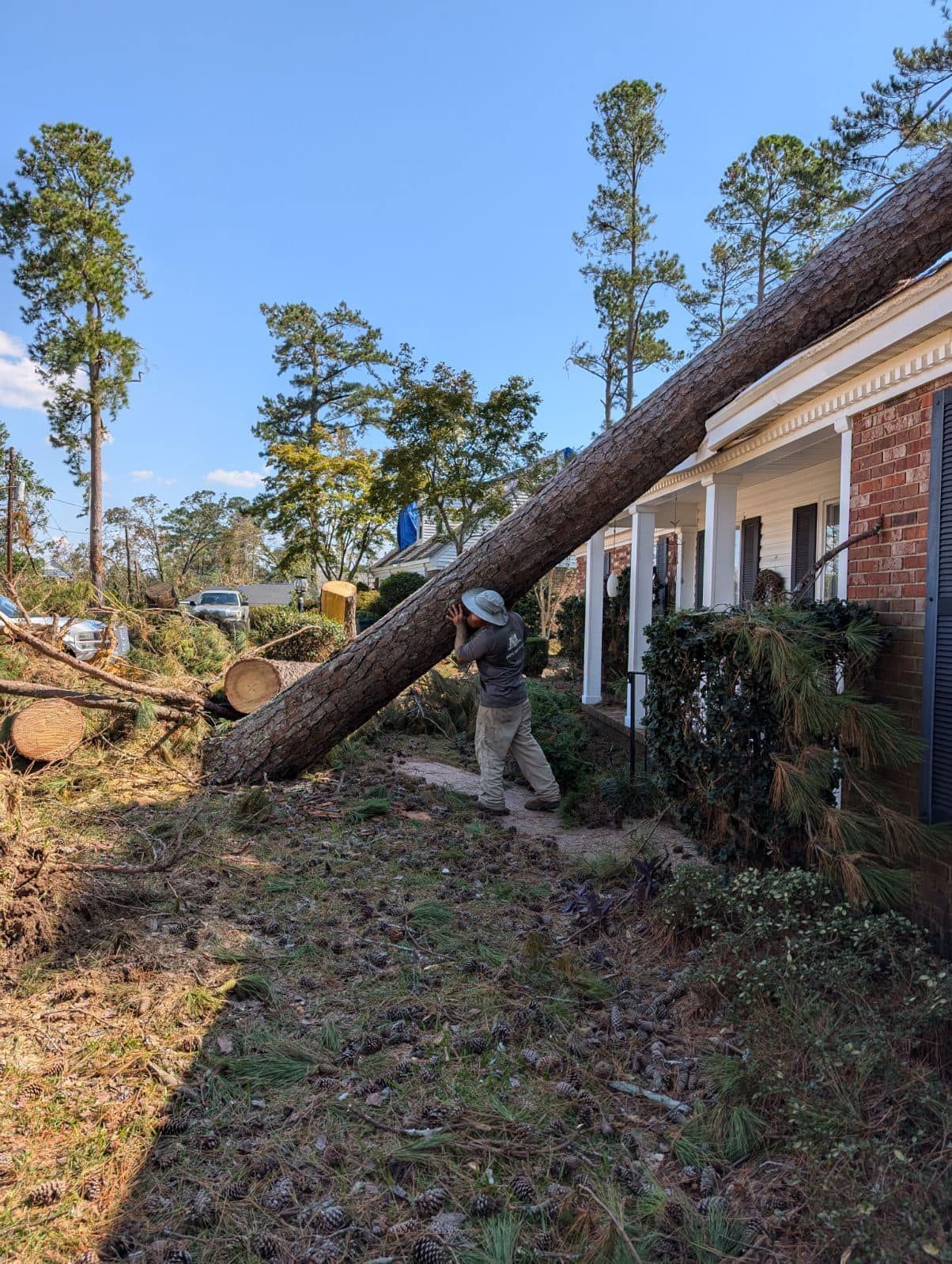 Large fallen tree trunk leaning against a brick house after storm damage in a yard