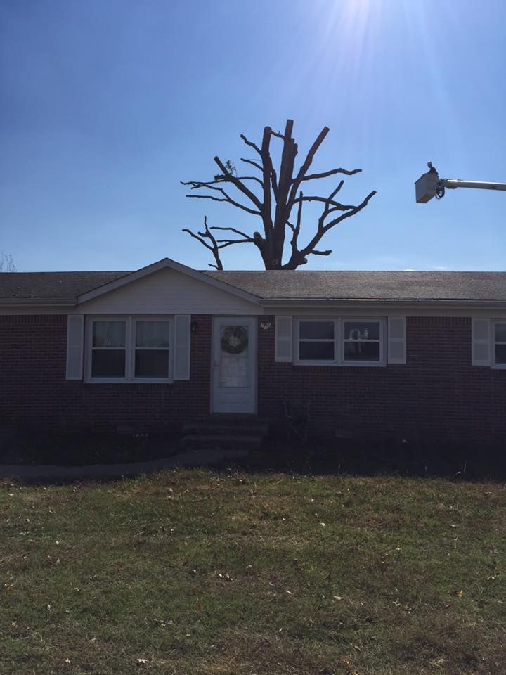 Single-story brick house with a leafless tree behind it under a bright blue sky