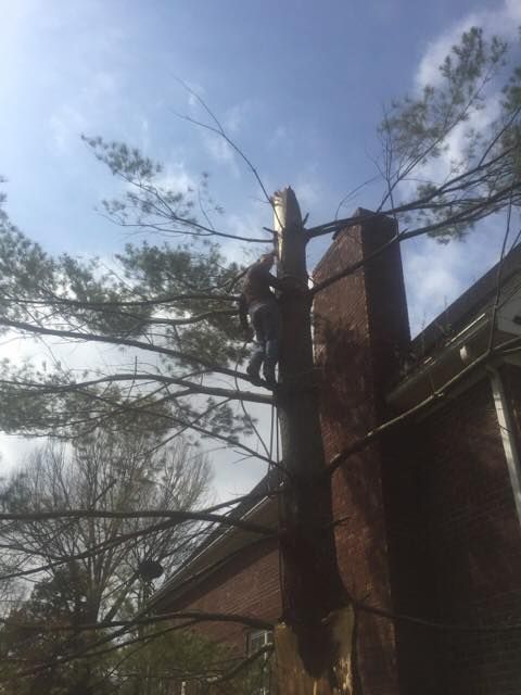 Dead tree branches leaning against a brick house under a blue sky