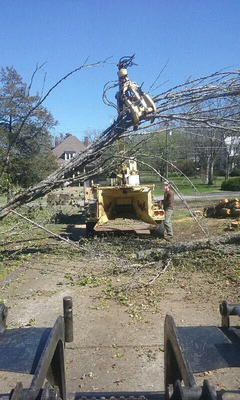 Yellow excavator clearing a fallen tree limb in a yard, with branches piled on the machine and ground.
