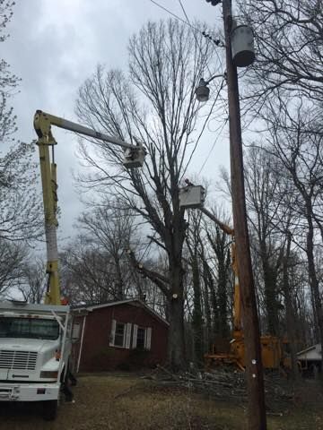 Utility truck crew trimming tree branches beside a house and power lines on a cloudy day