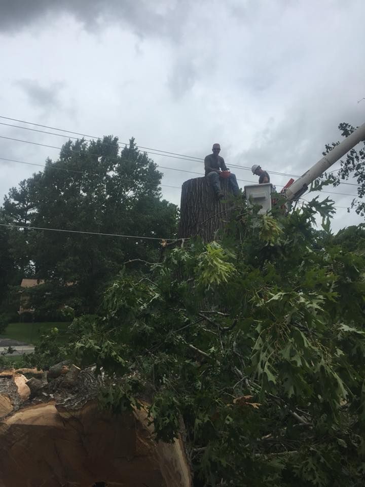 Workers on a utility truck trimming a fallen tree amid storm damage under cloudy skies
