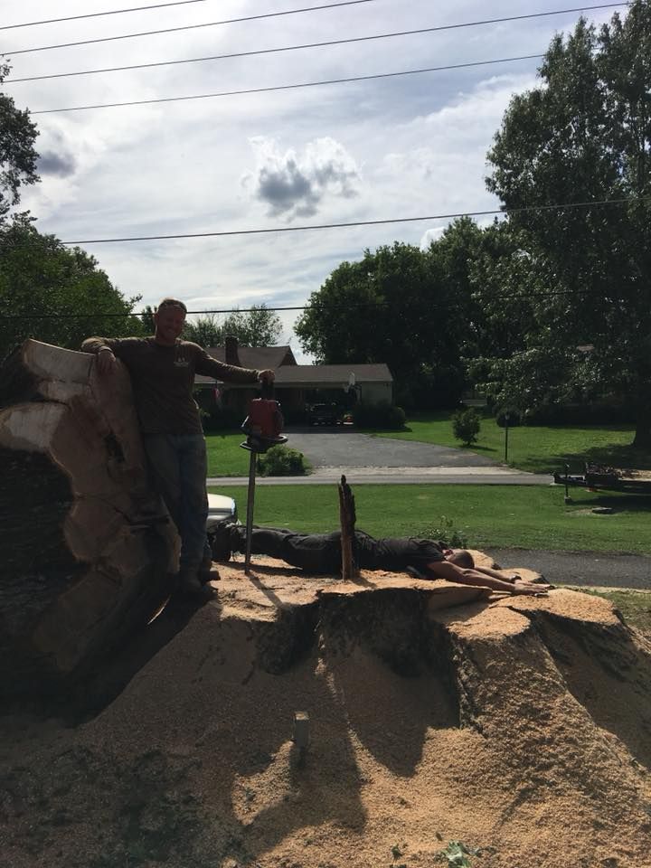 Person posing beside a large dirt mound and tree stump in a sunny yard with trees and power lines.