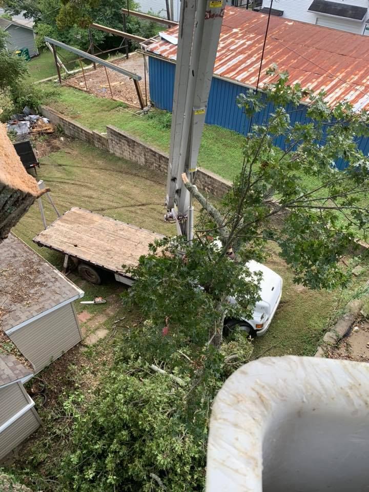Overhead view of a yard with a utility pole, white van, sheds, and trees beside a red-roofed building