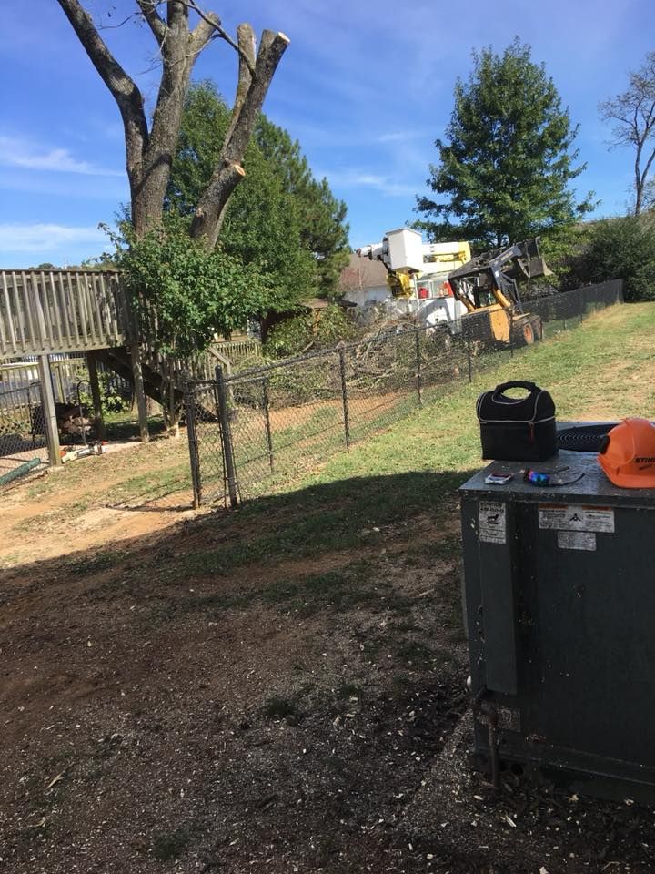 Backyard with large tree, fence, gravel ground, and green utility bins under a blue sky