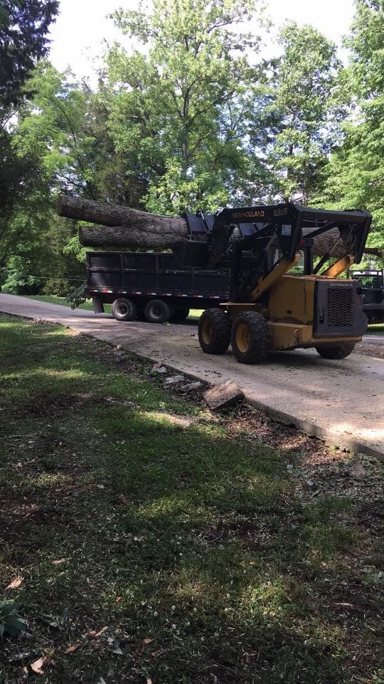 Yellow skid steer carrying long tree trunks on a black trailer by a wooded roadside
