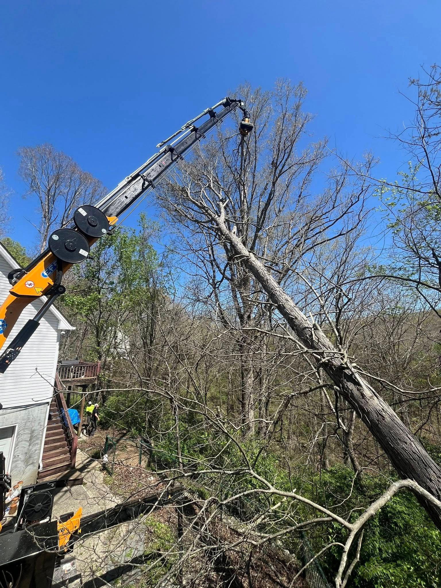 Excavator arm cutting a large tree limb beside a house under a clear blue sky