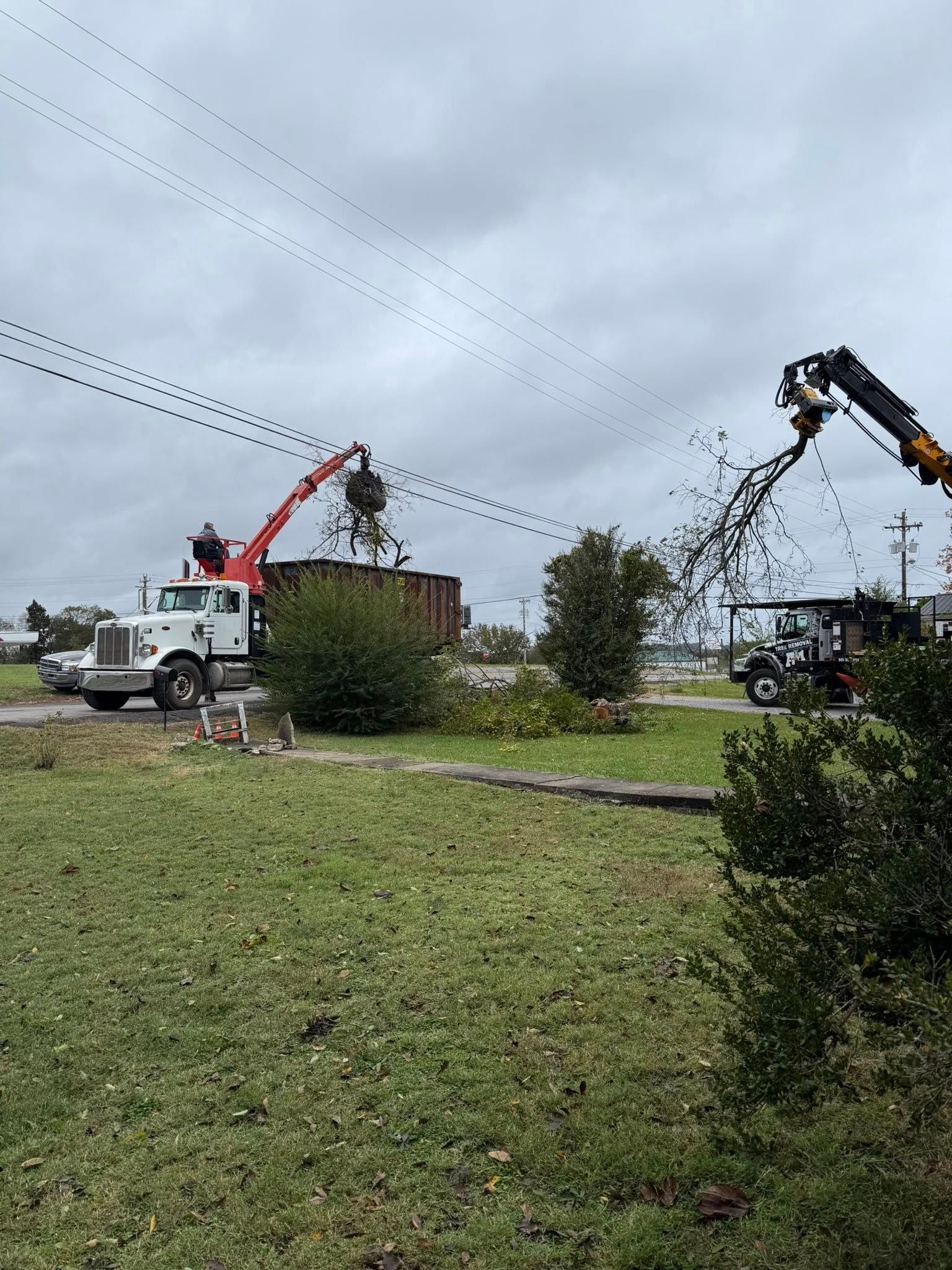 Utility trucks and bucket cranes clearing storm debris beside a downed tree in a grassy field