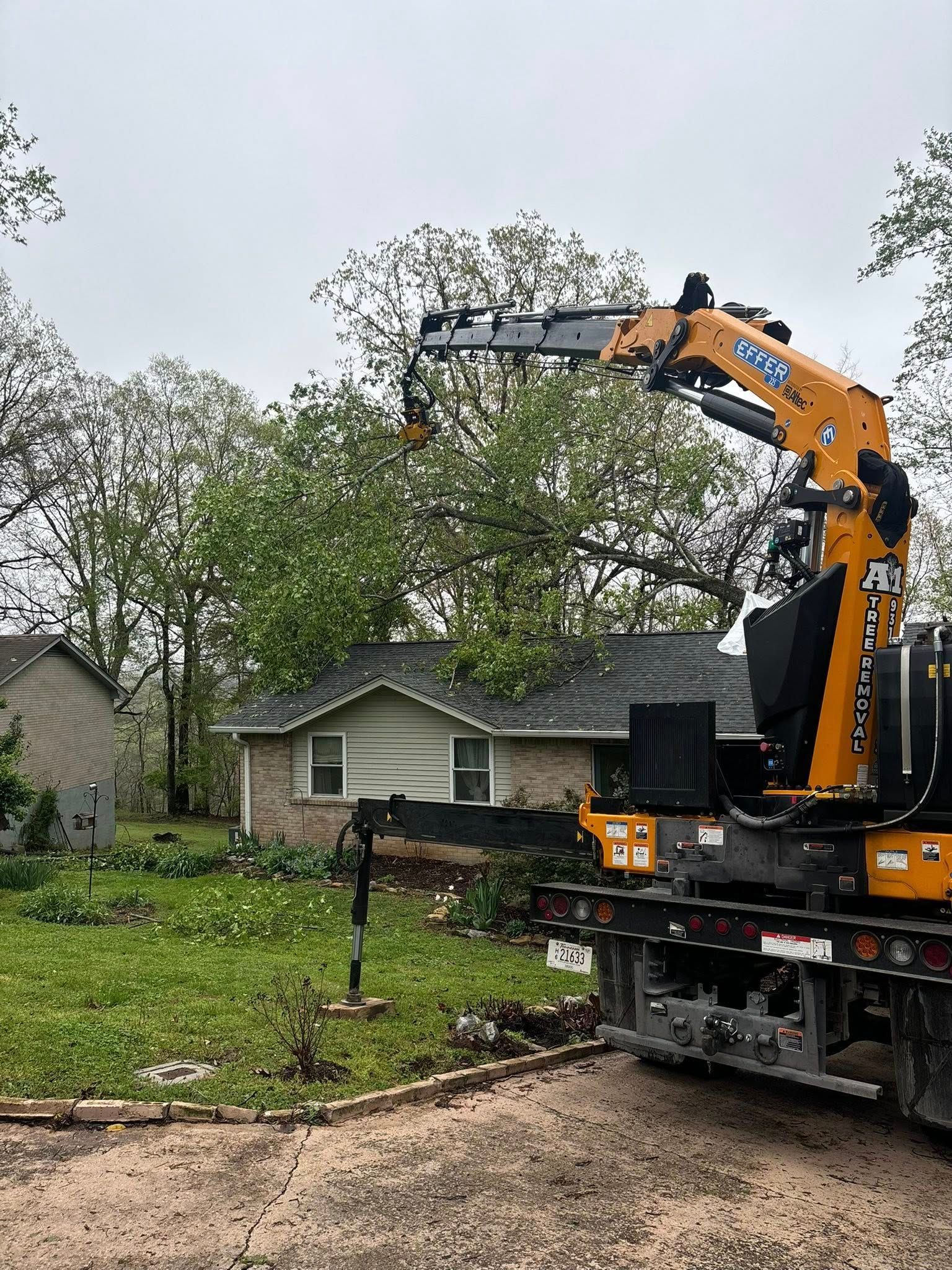 Orange excavator lifting tree branches beside a small house in a yard