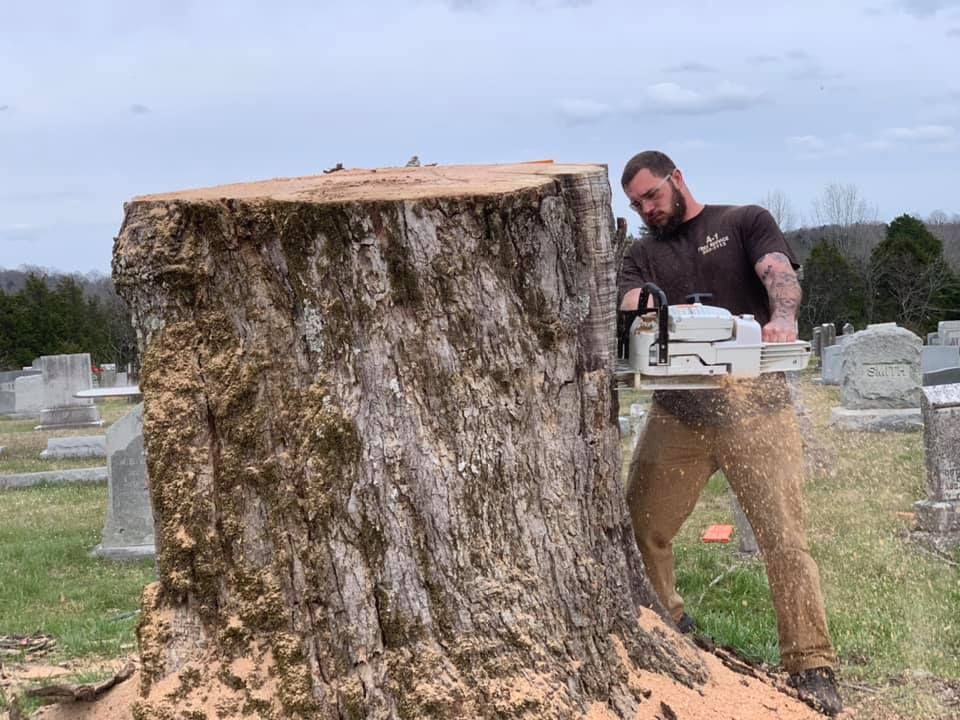 Man using a chainsaw to cut a large tree stump in a cemetery