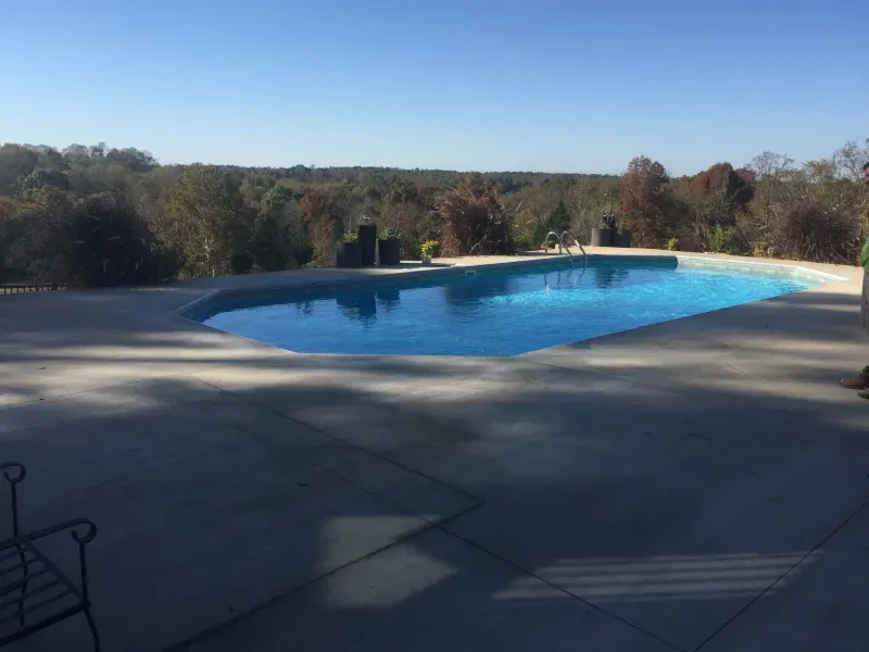 A large swimming pool is surrounded by trees on a sunny day.