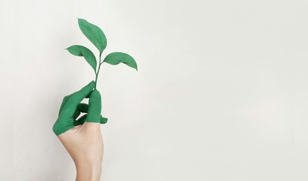 Persoonlijke ontwikkeling