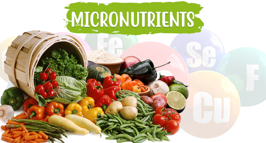 A bunch of vegetables with the words micronutrients on the bottom