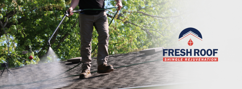 Guy Spraying Fresh Roof Shingle Rejuvenation