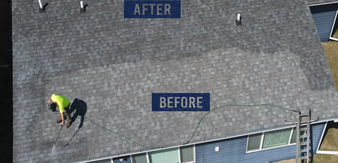 roof rejuvenation company