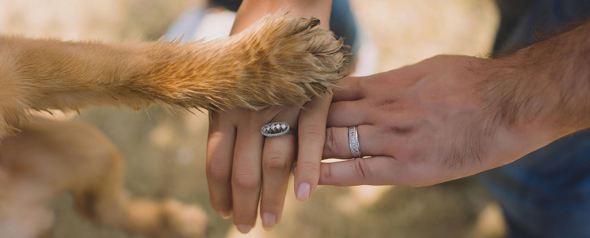 Roof spray safe for pets
