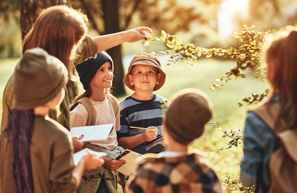 Group Of Children Learning About Nature — TJ & B Bus and Coach Pty Ltd In South Murwillumbah, NSW
