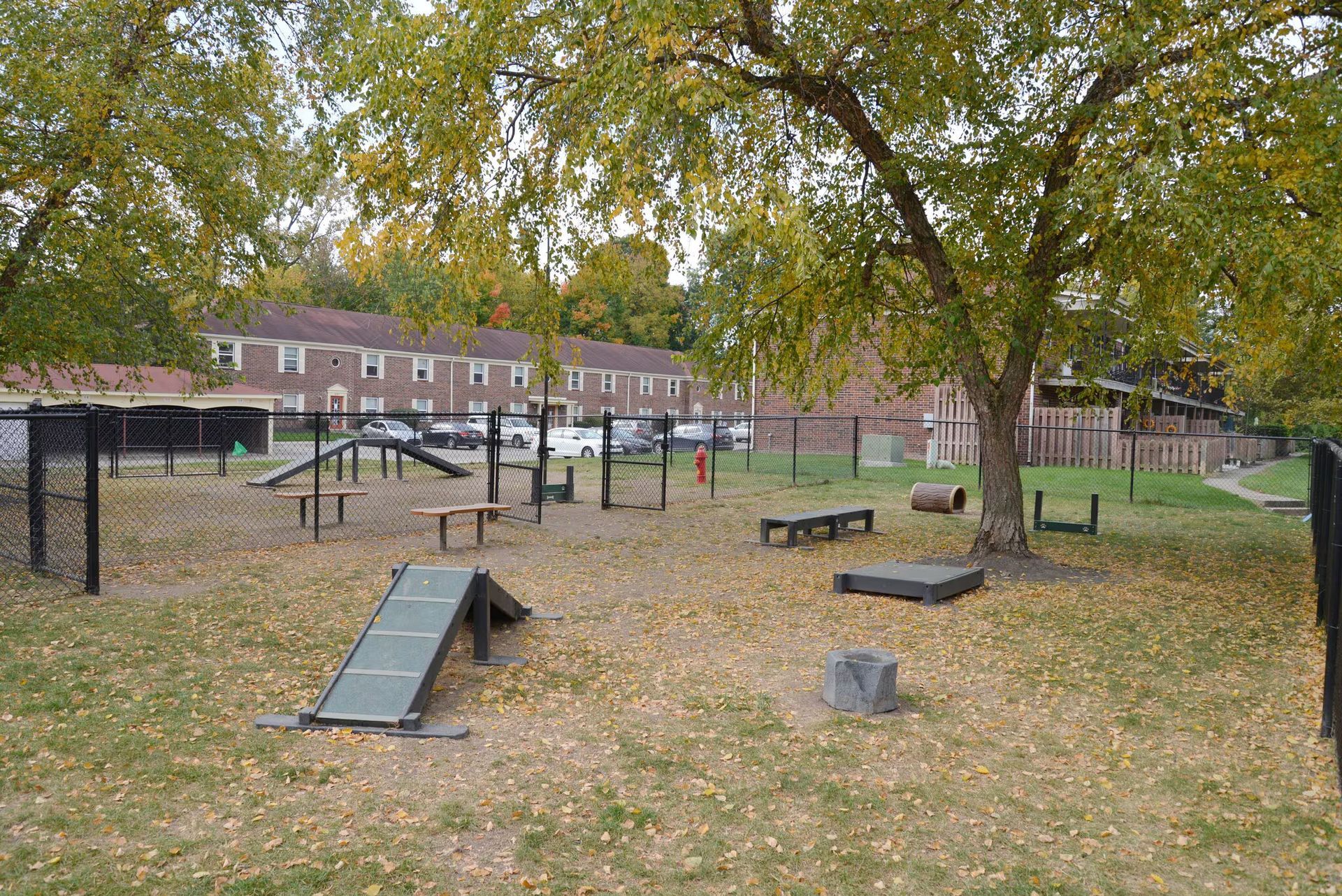 dog park.