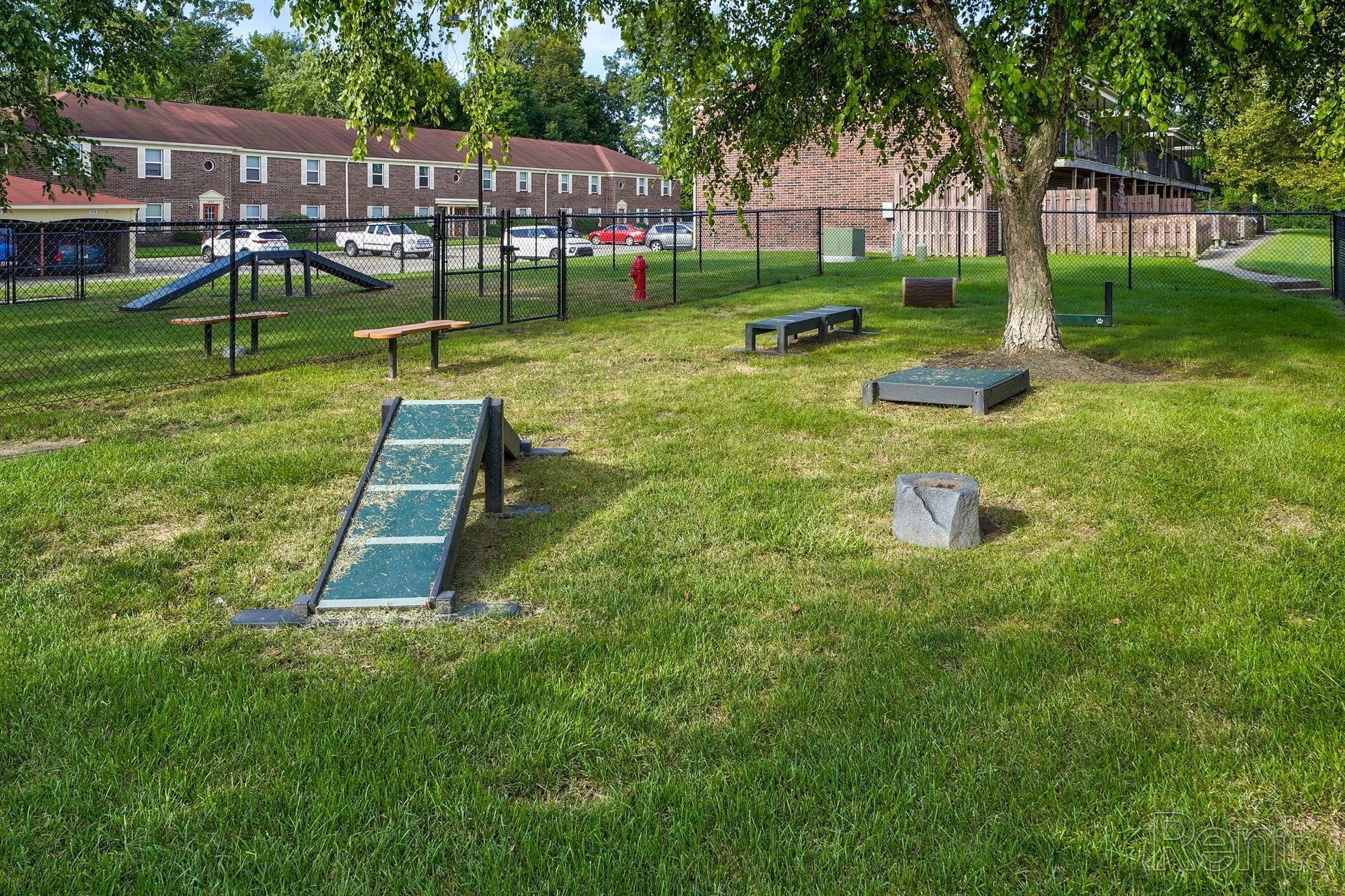 A park with a playground for dogs in the grass.