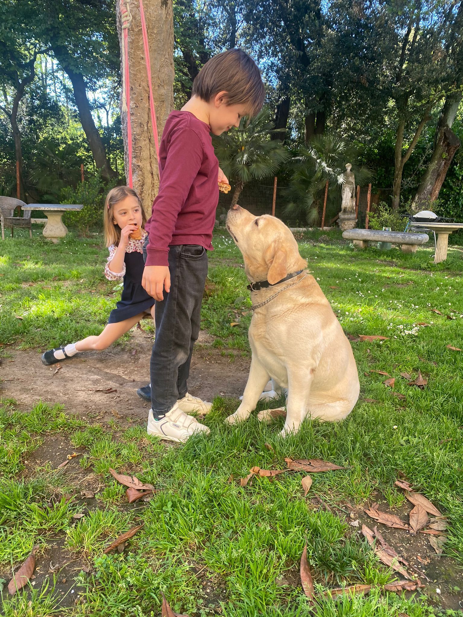 Galateo della Relazione Cuccioli di Labrador Ottobiano, - Pavia