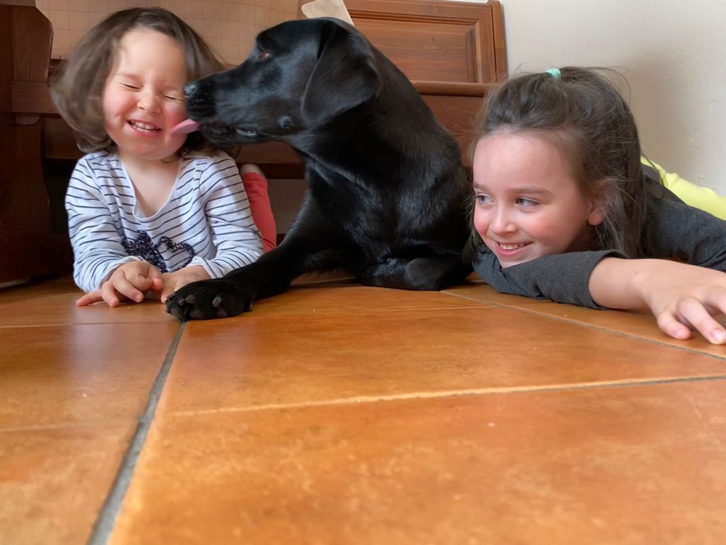 Galateo della Relazione Cuccioli di Labrador Ottobiano, - Pavia