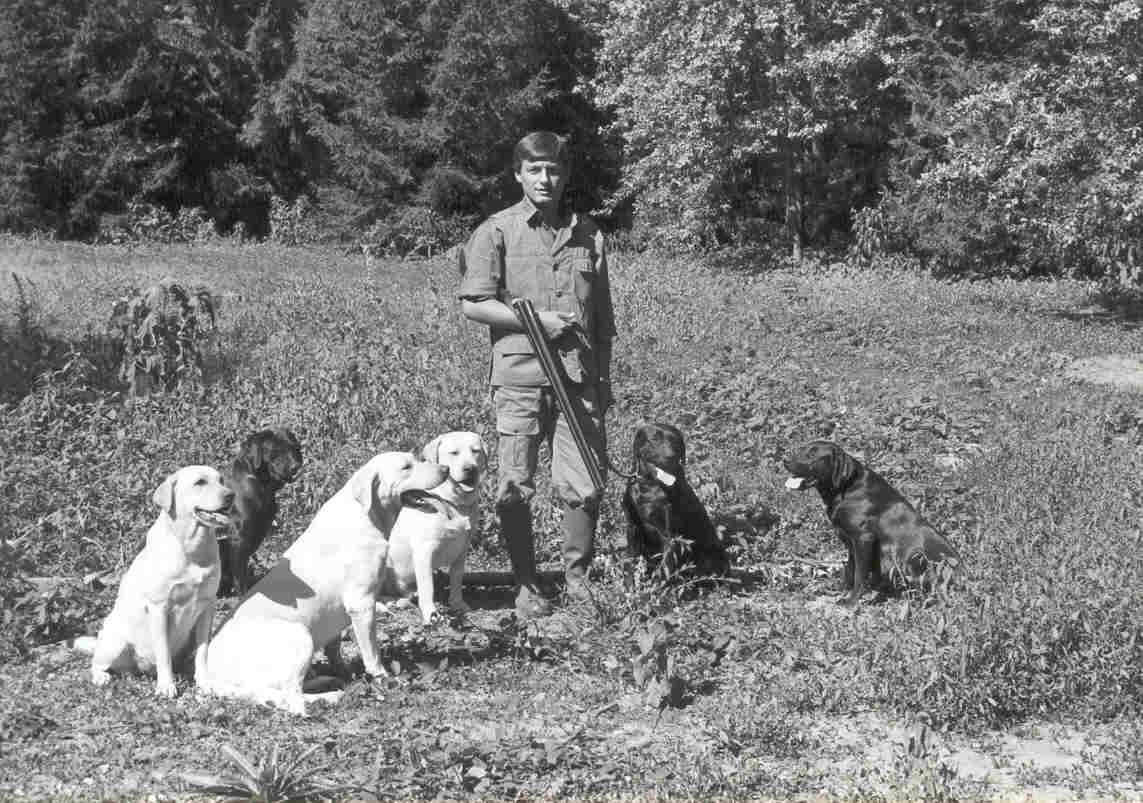 Allevamento Enci FCI Labrador biondi, neri, cioccolato in provincia di Pavia