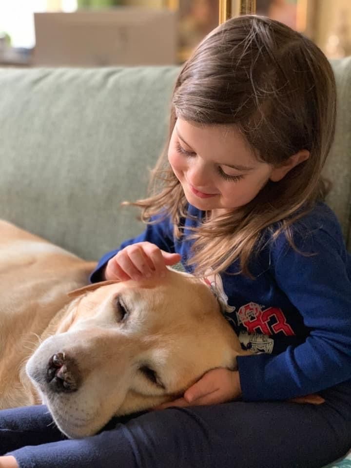 Galateo della Relazione Cuccioli di Labrador Ottobiano, - Pavia