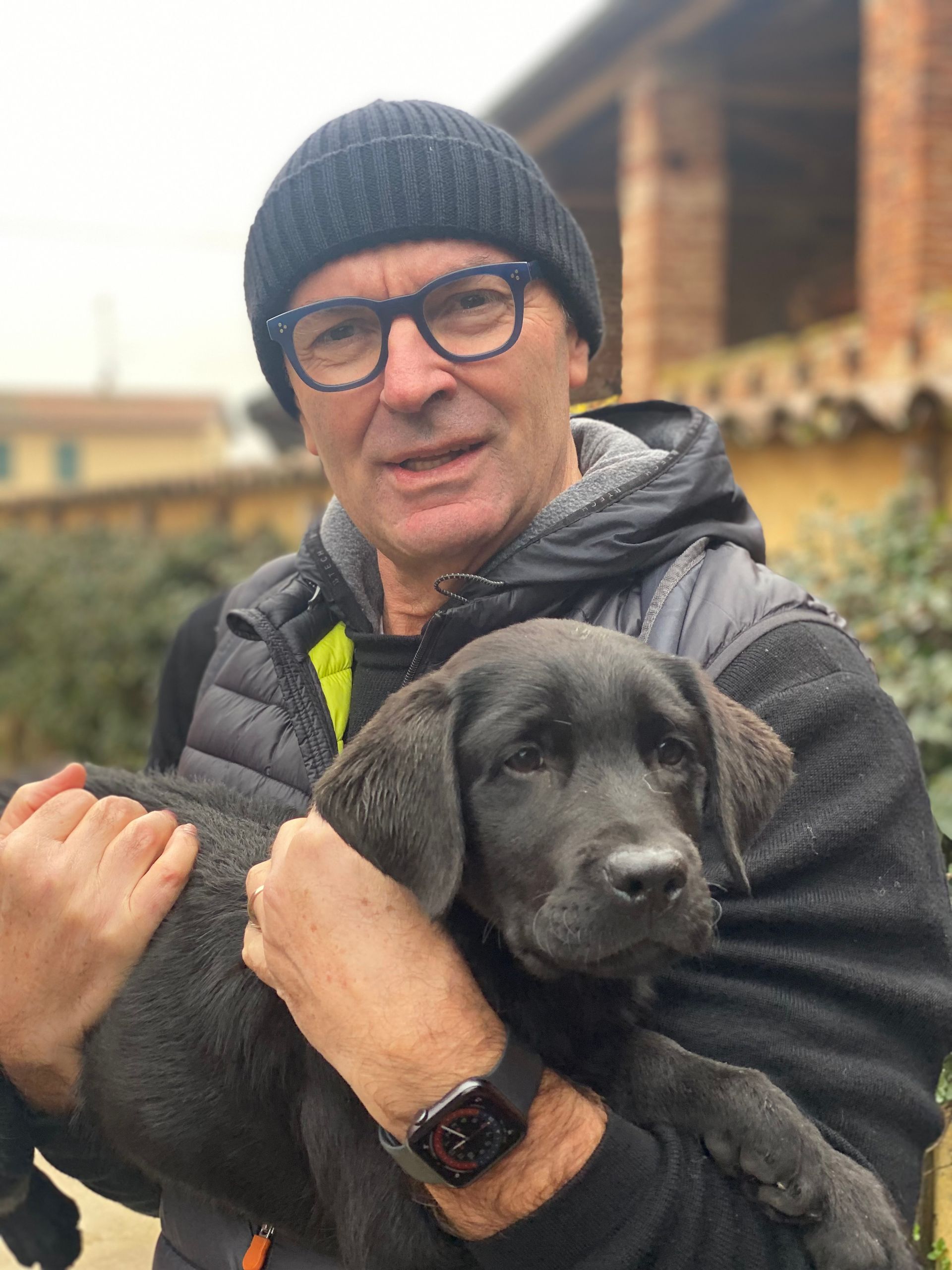 Allevamento Enci FCI Labrador in provincia di Pavia - I Labrador di Casa Paraporti - Consegna cuccioli