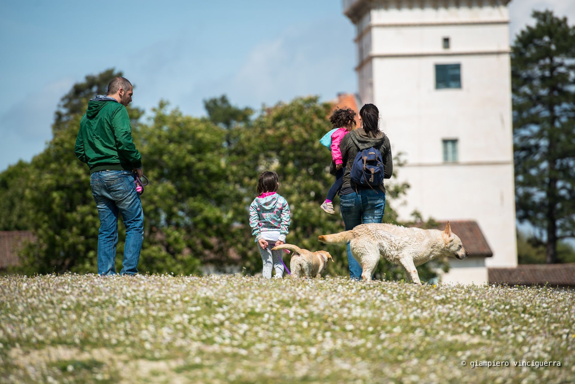 Galateo della Relazione Cuccioli di Labrador Ottobiano, - Pavia