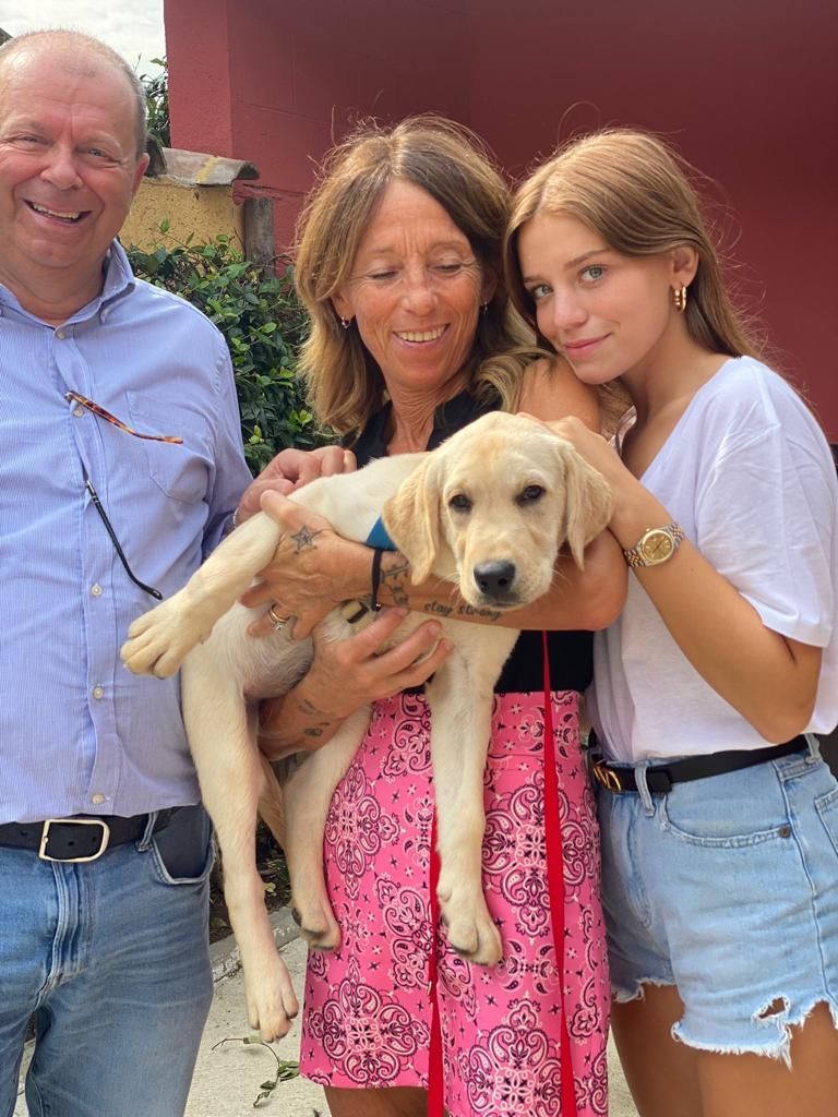 Allevamento Enci FCI Labrador in provincia di Pavia - I Labrador di Casa Paraporti - Consegna cuccioli