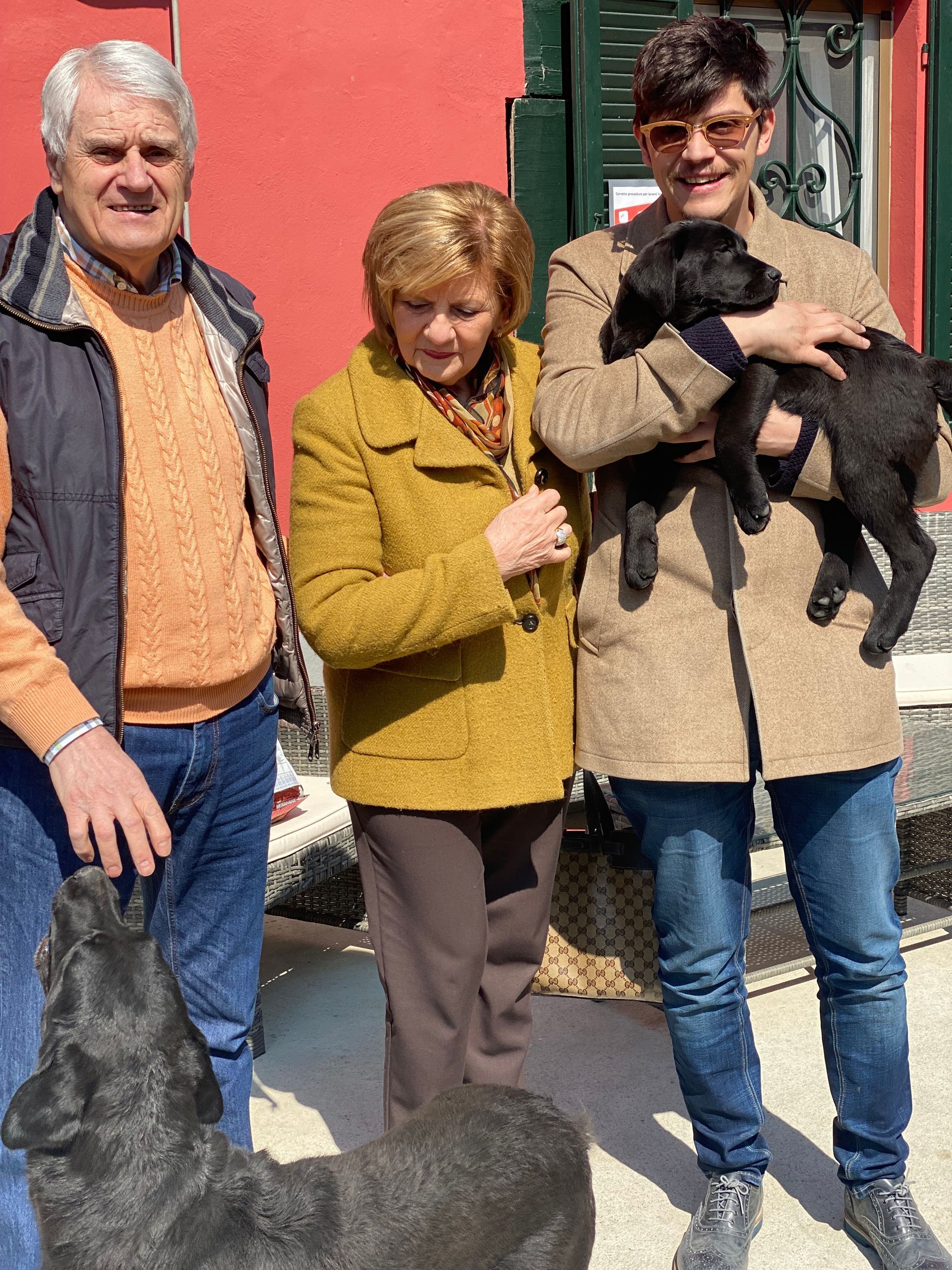 Allevamento Enci FCI Labrador in provincia di Pavia - I Labrador di Casa Paraporti - Consegna cuccioli