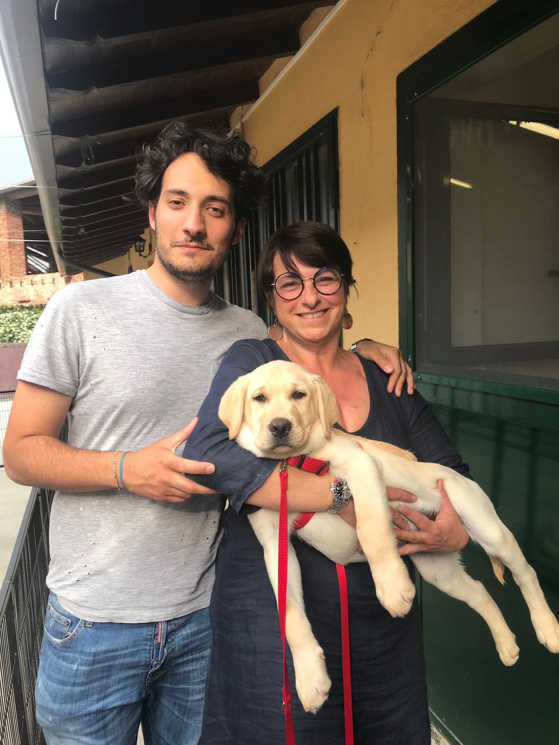 Allevamento Enci FCI Labrador in provincia di Pavia - I Labrador di Casa Paraporti - Consegna cuccioli