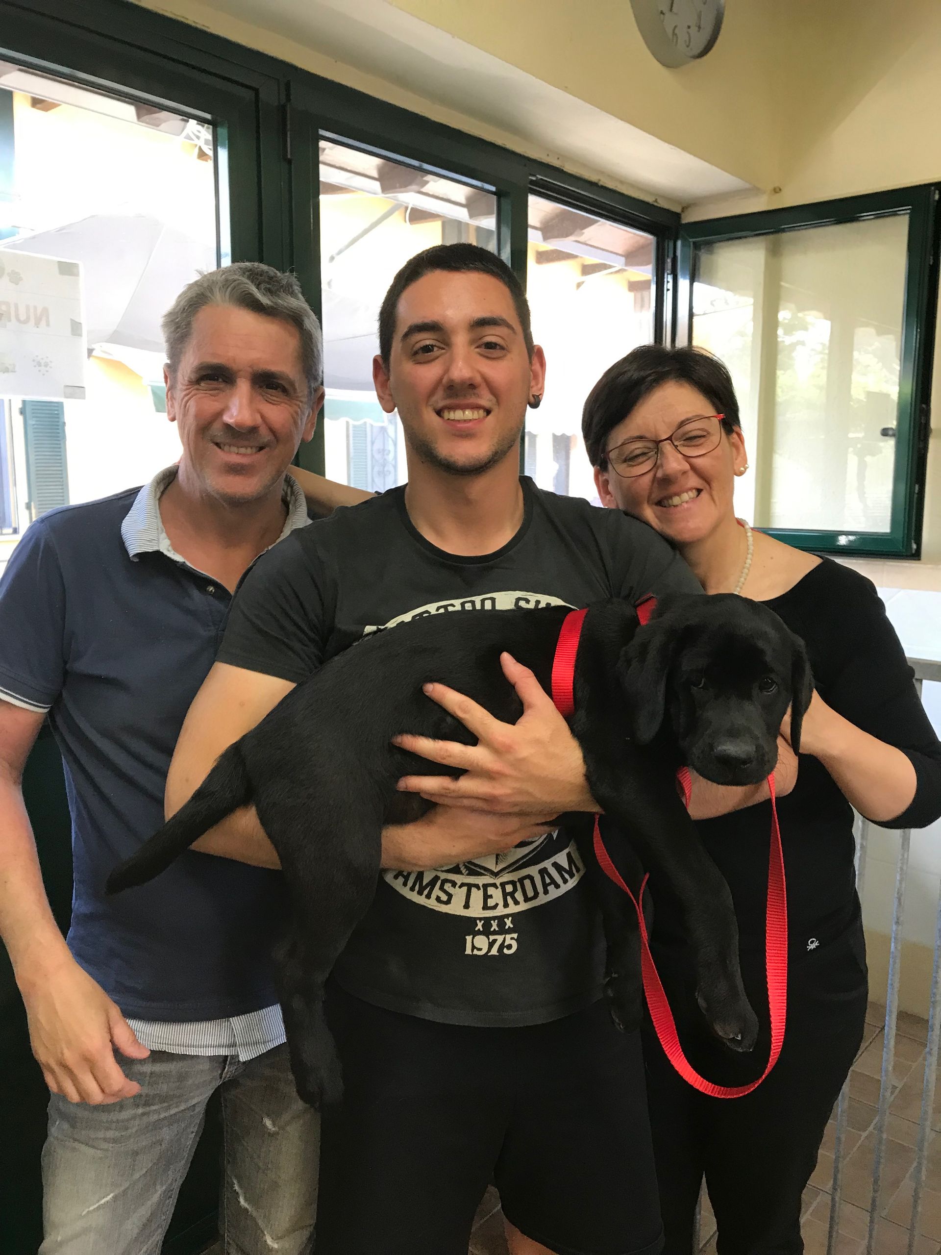 Allevamento Enci FCI Labrador in provincia di Pavia - I Labrador di Casa Paraporti - Consegna cuccioli