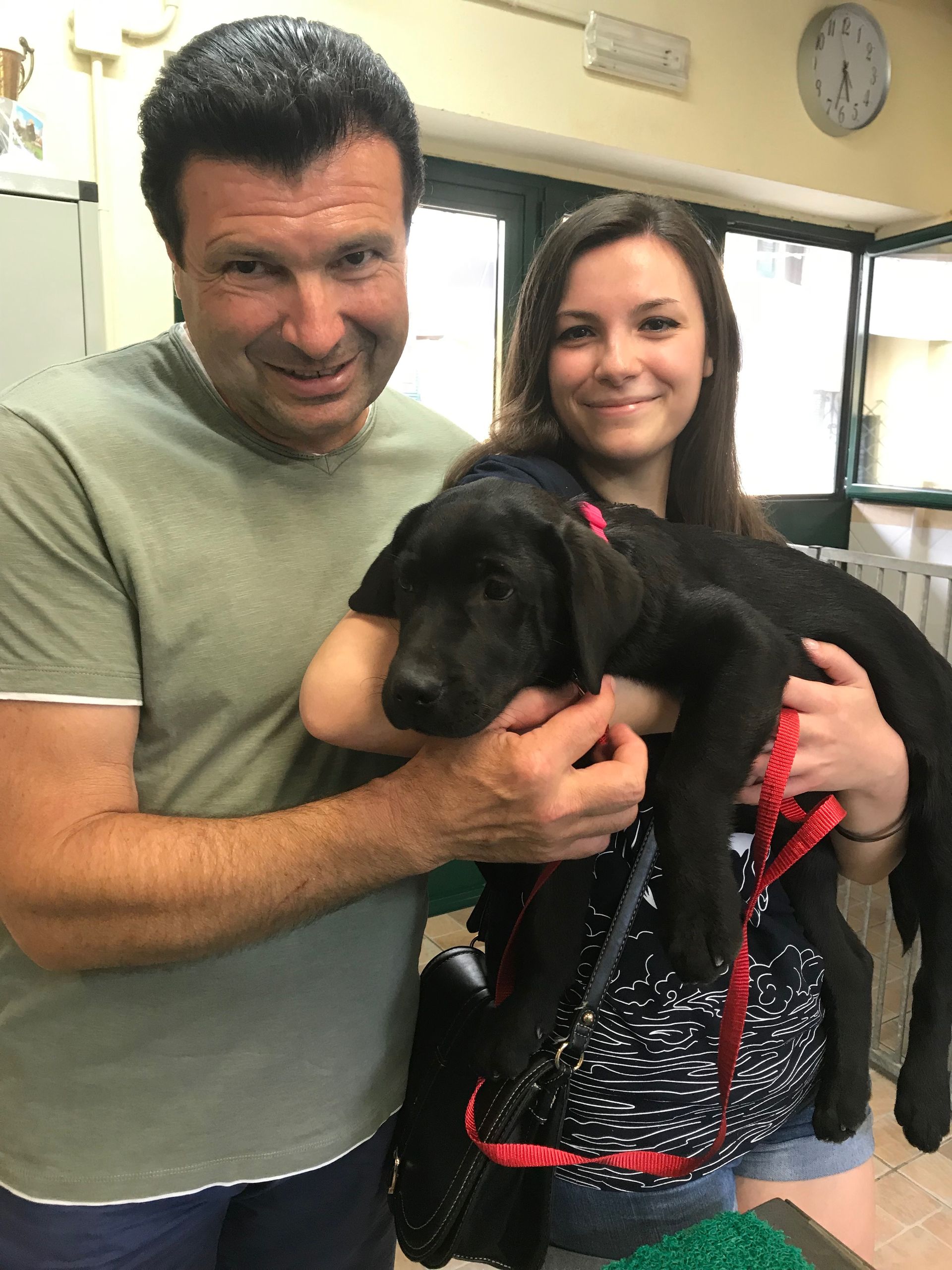 Allevamento Enci FCI Labrador in provincia di Pavia - I Labrador di Casa Paraporti - Consegna cuccioli