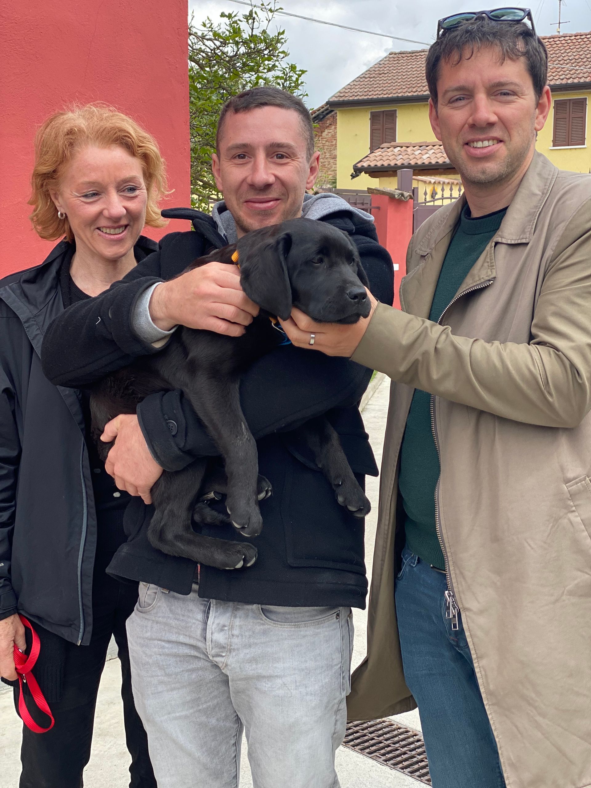 Allevamento Enci FCI Labrador in provincia di Pavia - I Labrador di Casa Paraporti - Consegna cuccioli