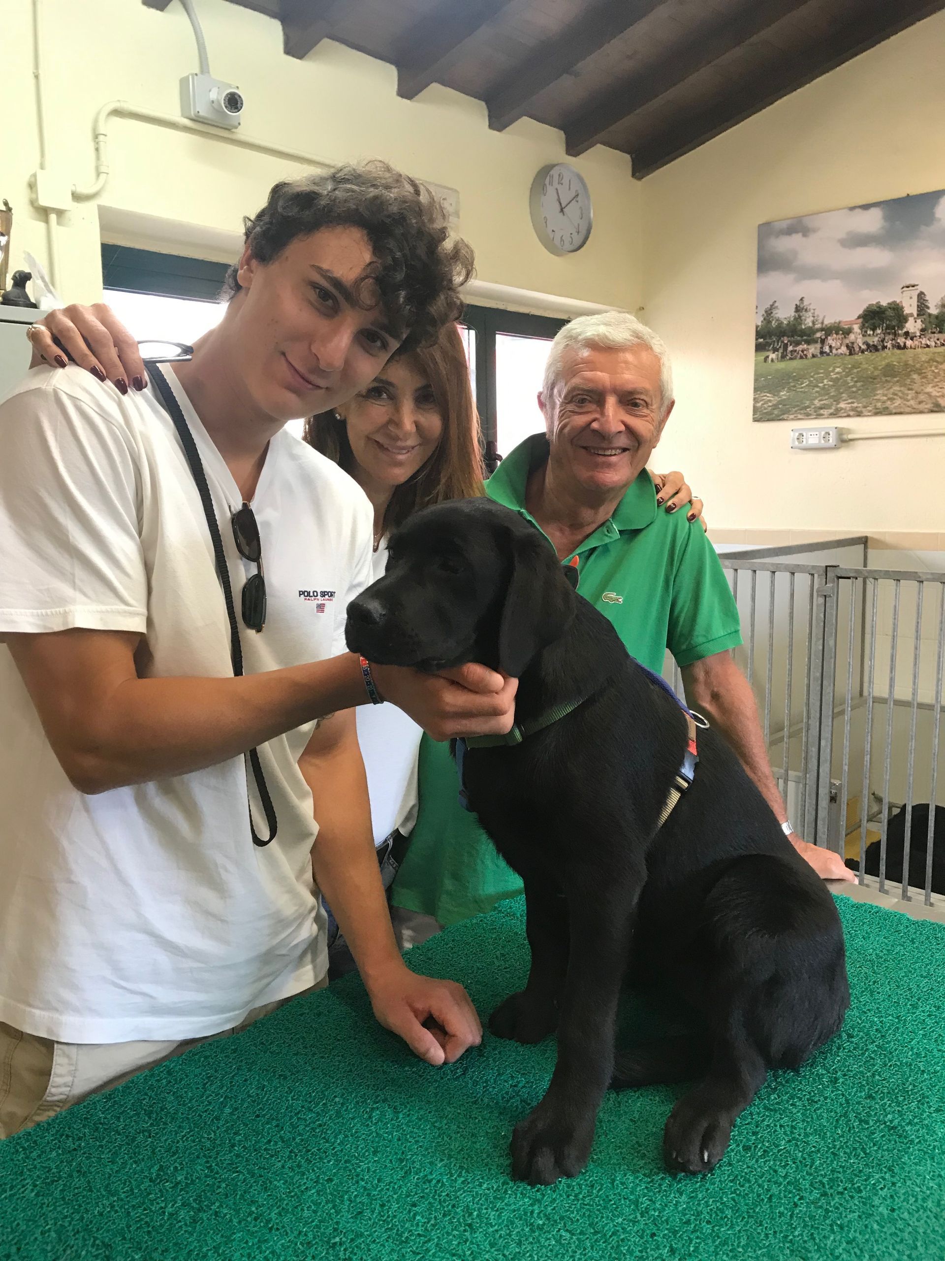 Allevamento Enci FCI Labrador in provincia di Pavia - I Labrador di Casa Paraporti - Consegna cuccioli