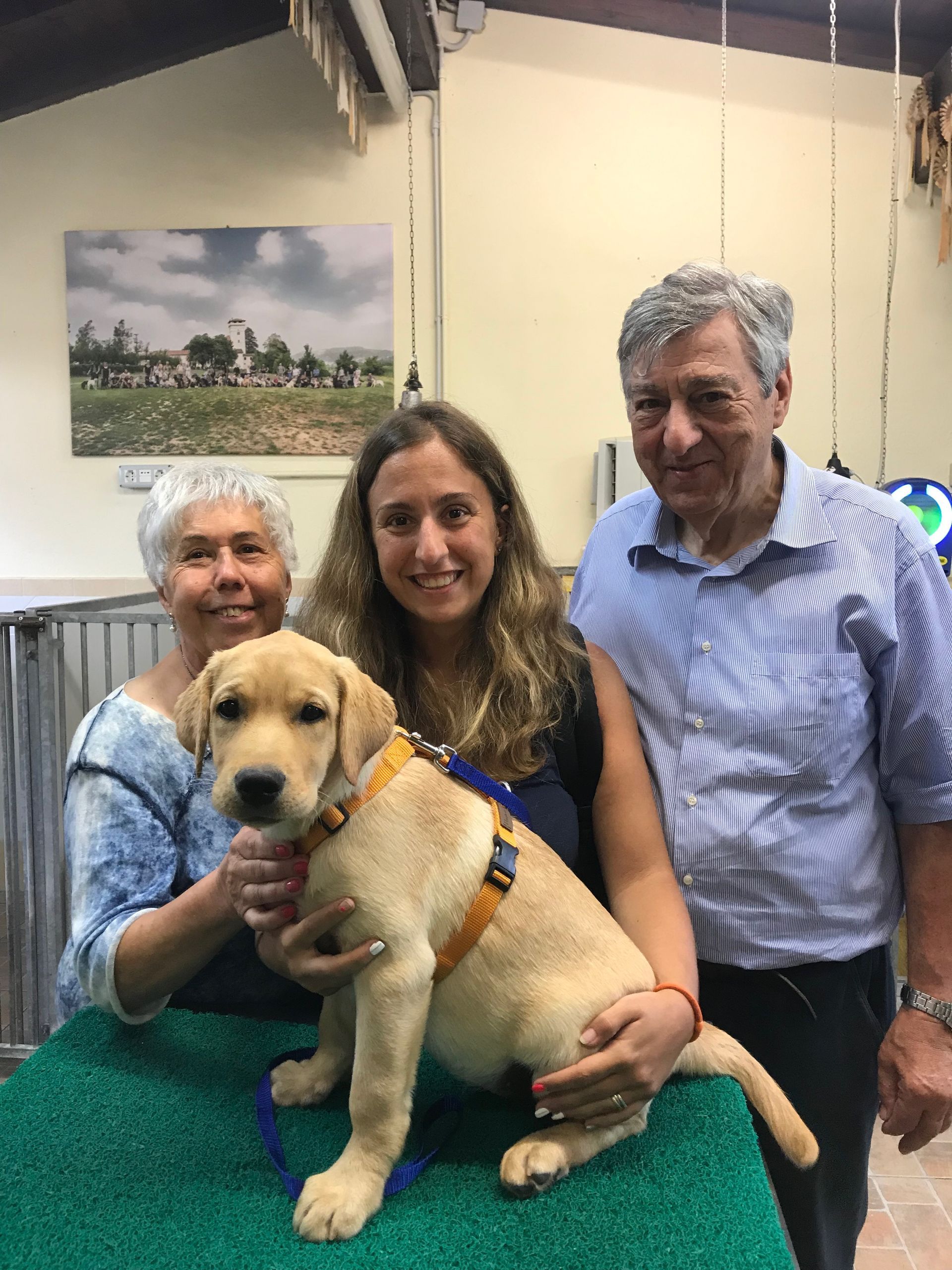 Allevamento Enci FCI Labrador in provincia di Pavia - I Labrador di Casa Paraporti - Consegna cuccioli