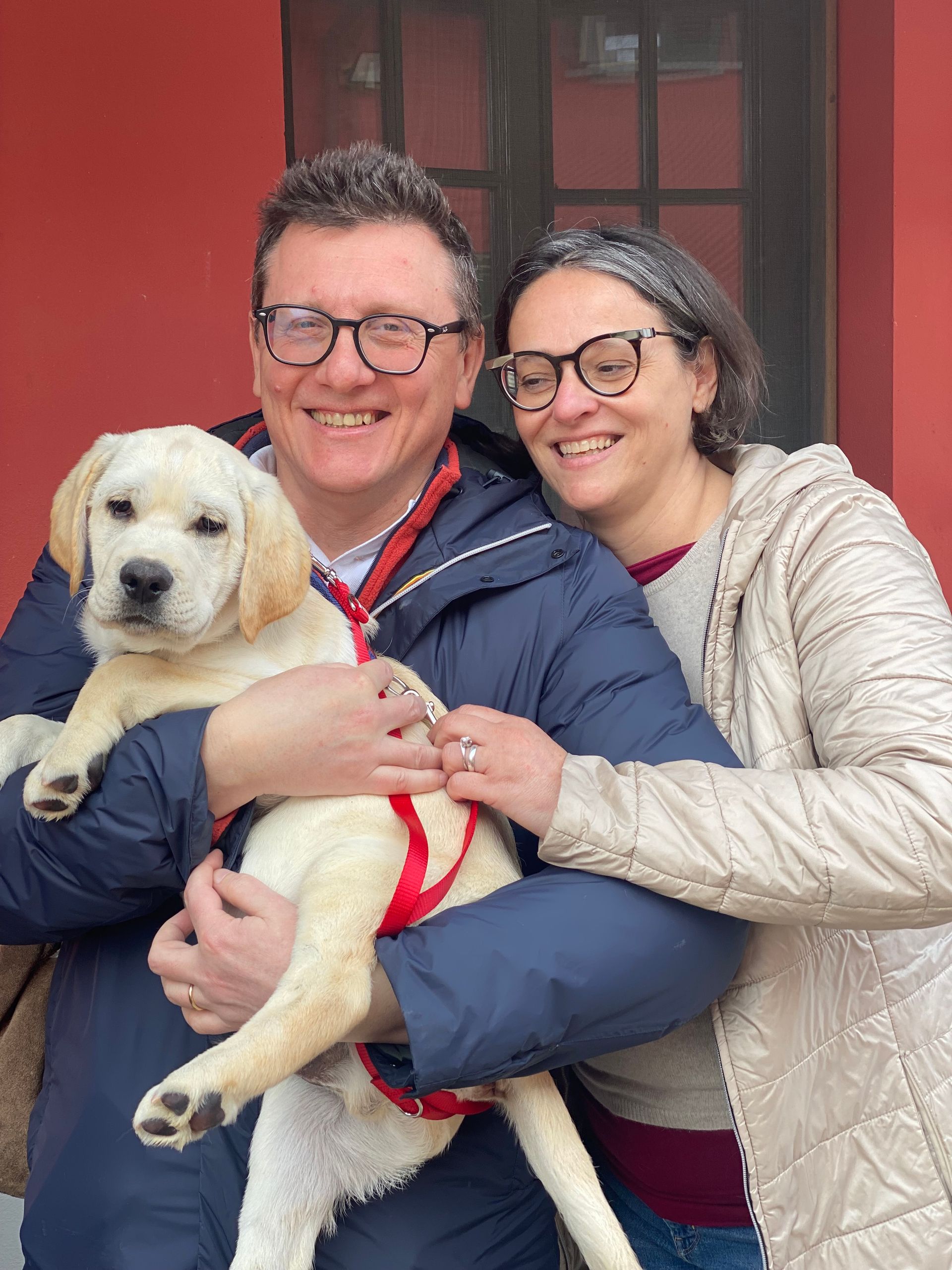 Allevamento Enci FCI Labrador in provincia di Pavia - I Labrador di Casa Paraporti - Consegna cuccioli