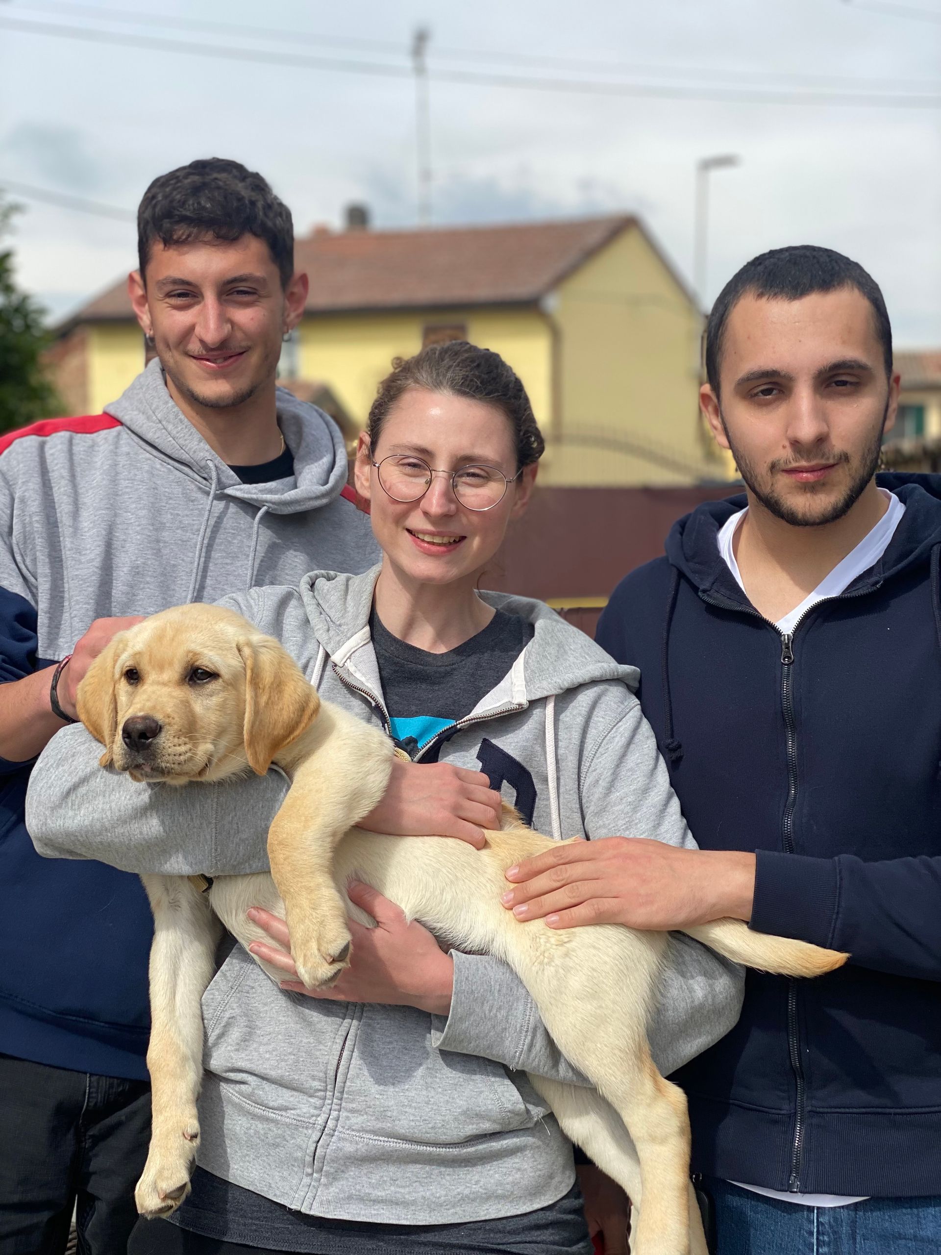 Allevamento Enci FCI Labrador in provincia di Pavia - I Labrador di Casa Paraporti - Consegna cuccioli