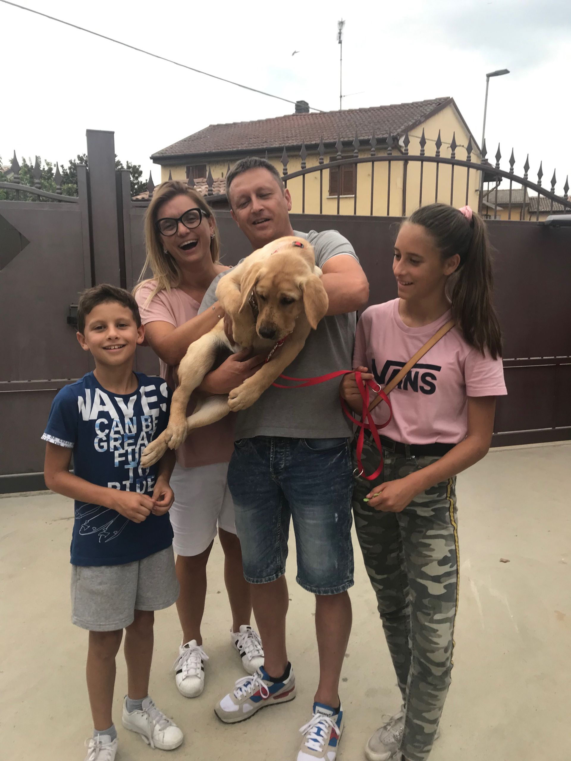 Allevamento Enci FCI Labrador in provincia di Pavia - I Labrador di Casa Paraporti - Consegna cuccioli