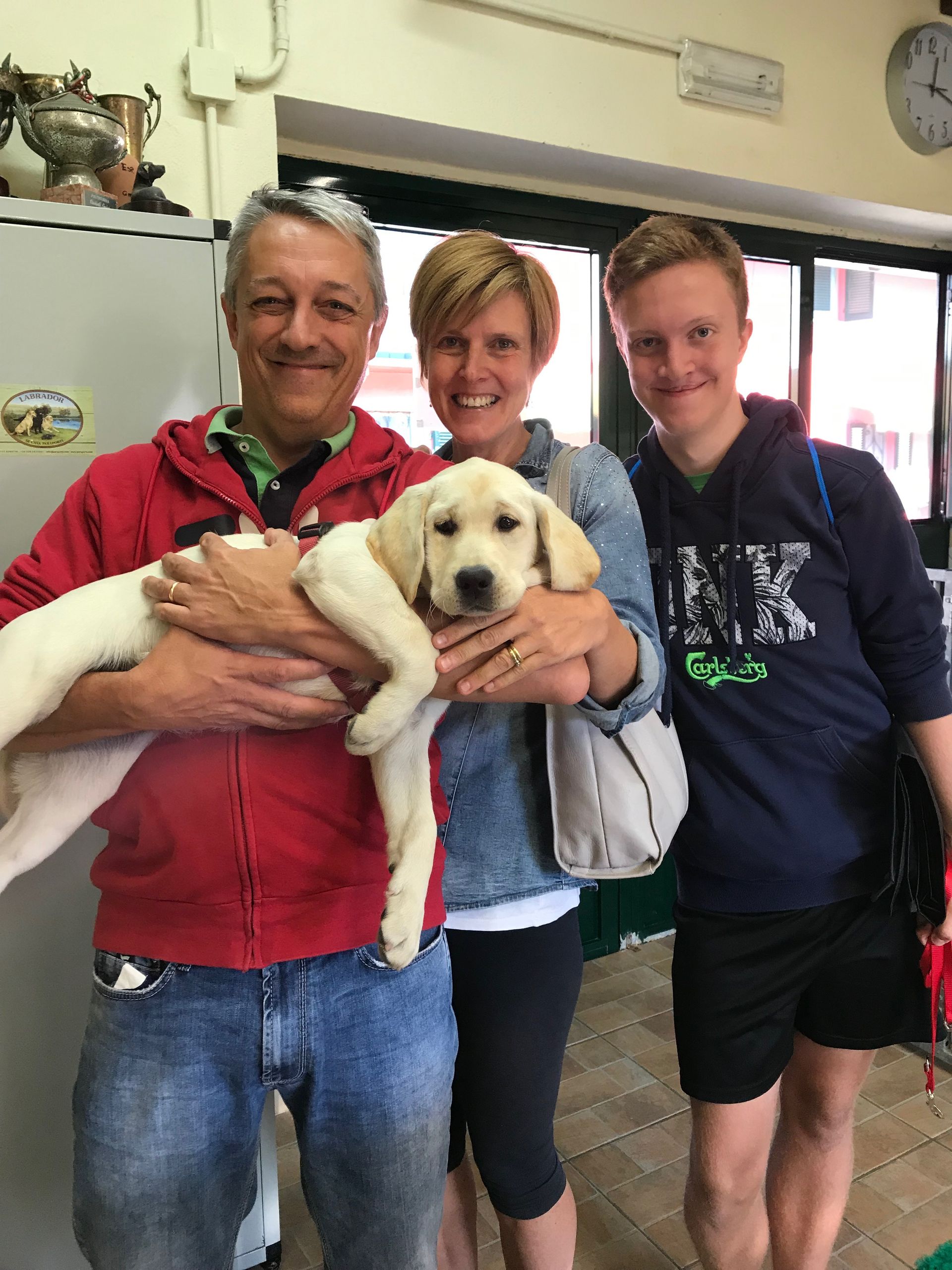 Allevamento Enci FCI Labrador in provincia di Pavia - I Labrador di Casa Paraporti - Consegna cuccioli