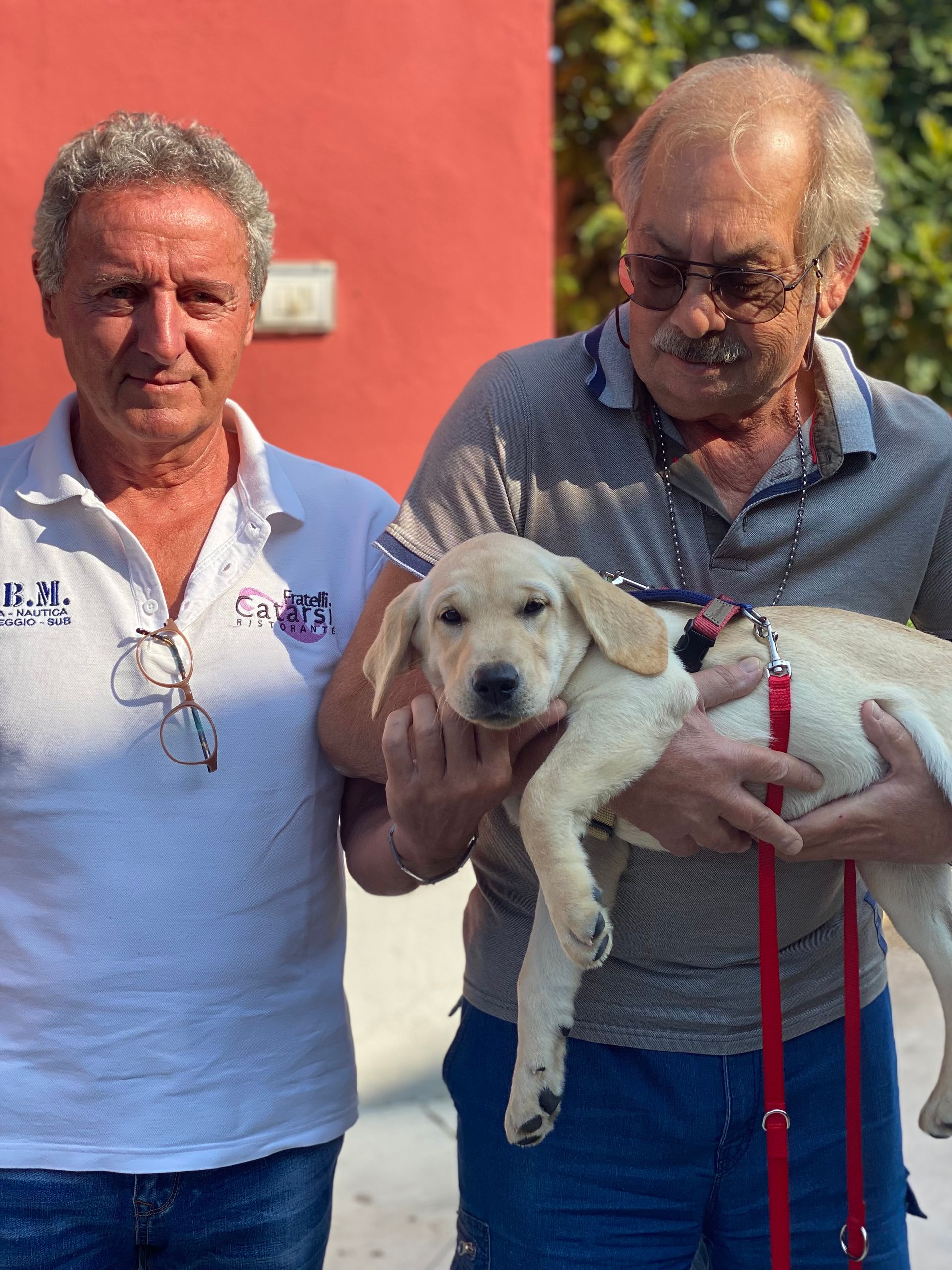 Allevamento Enci FCI Labrador in provincia di Pavia - I Labrador di Casa Paraporti - Consegna cuccioli
