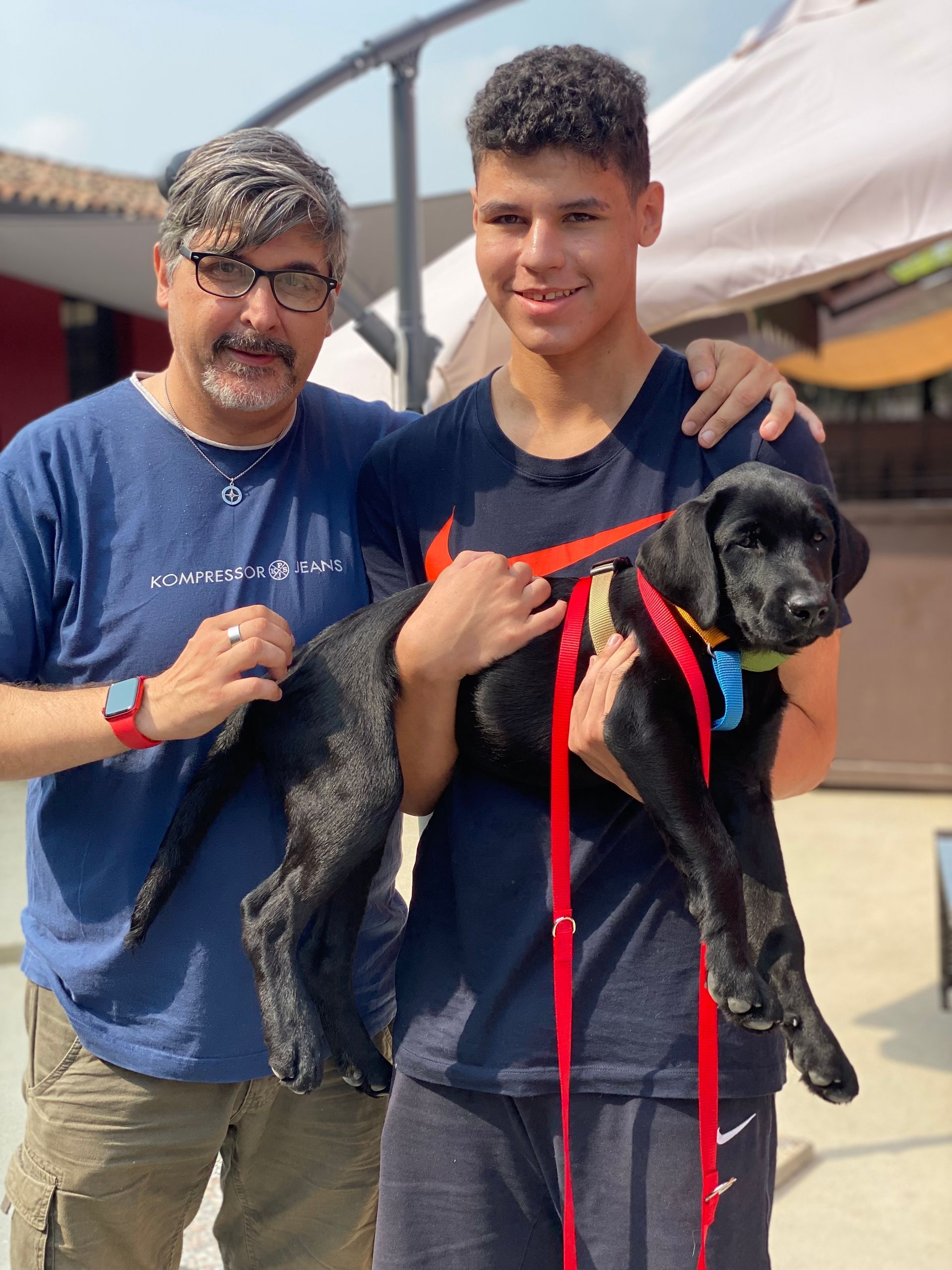 Allevamento Enci FCI Labrador in provincia di Pavia - I Labrador di Casa Paraporti - Consegna cuccioli