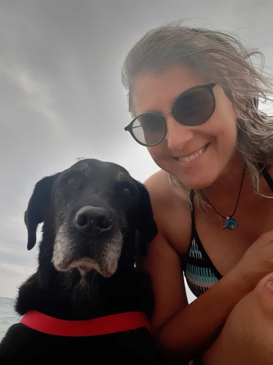 Allevamento Enci FCI Labrador in provincia di Pavia - I Labrador di Casa Paraporti - Consegna cuccioli