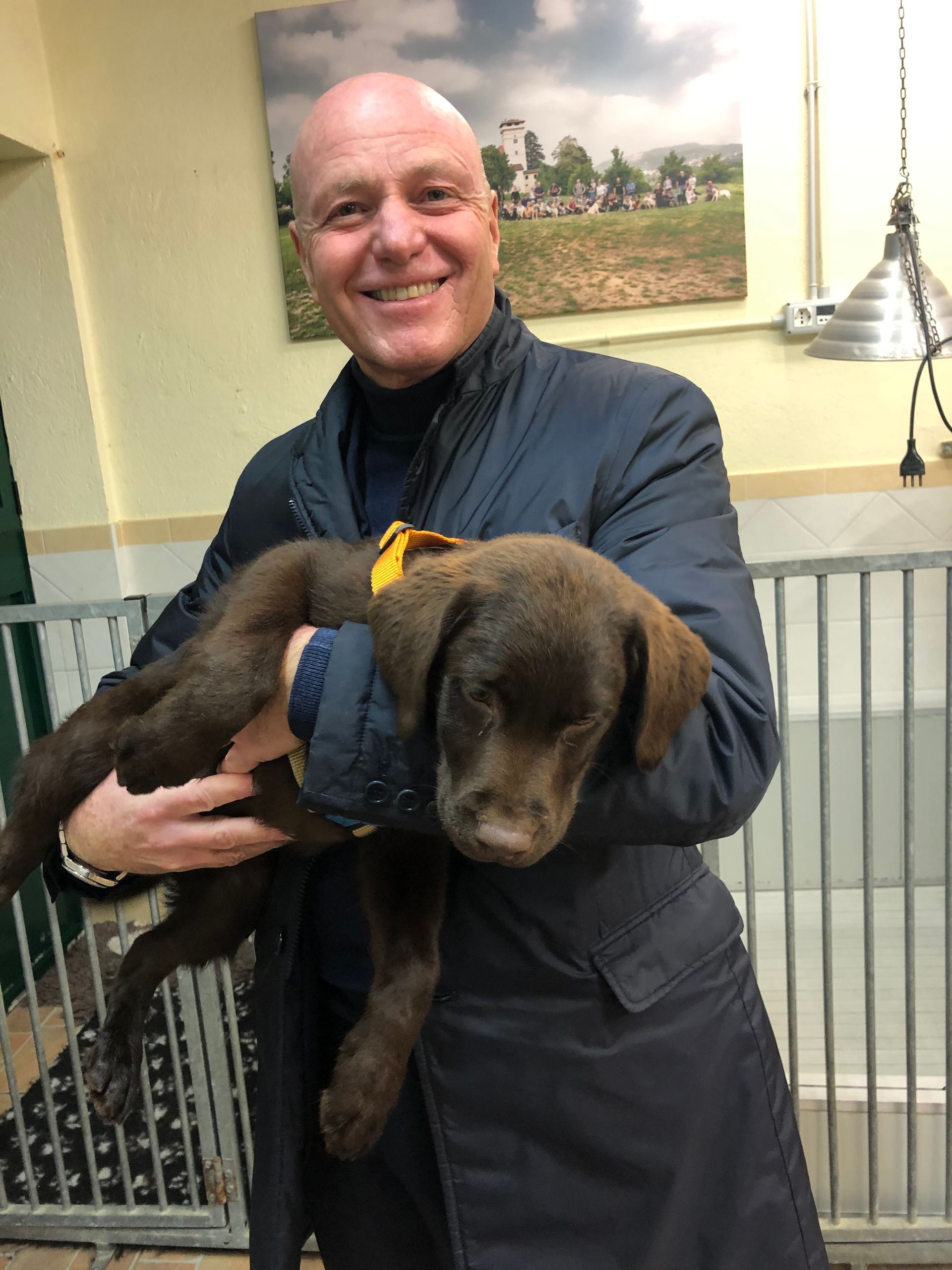 Allevamento Enci FCI Labrador in provincia di Pavia - I Labrador di Casa Paraporti - Consegna cuccioli